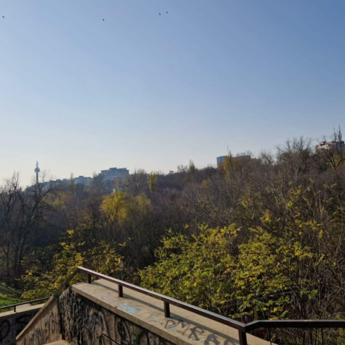 Galațiul investește în revitalizarea Văii Țiglinei pentru biodiversitate