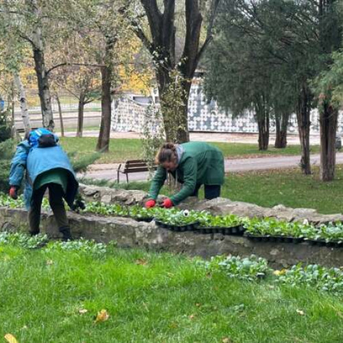 Timișoara obține un nou Registru Local al Spațiilor Verzi