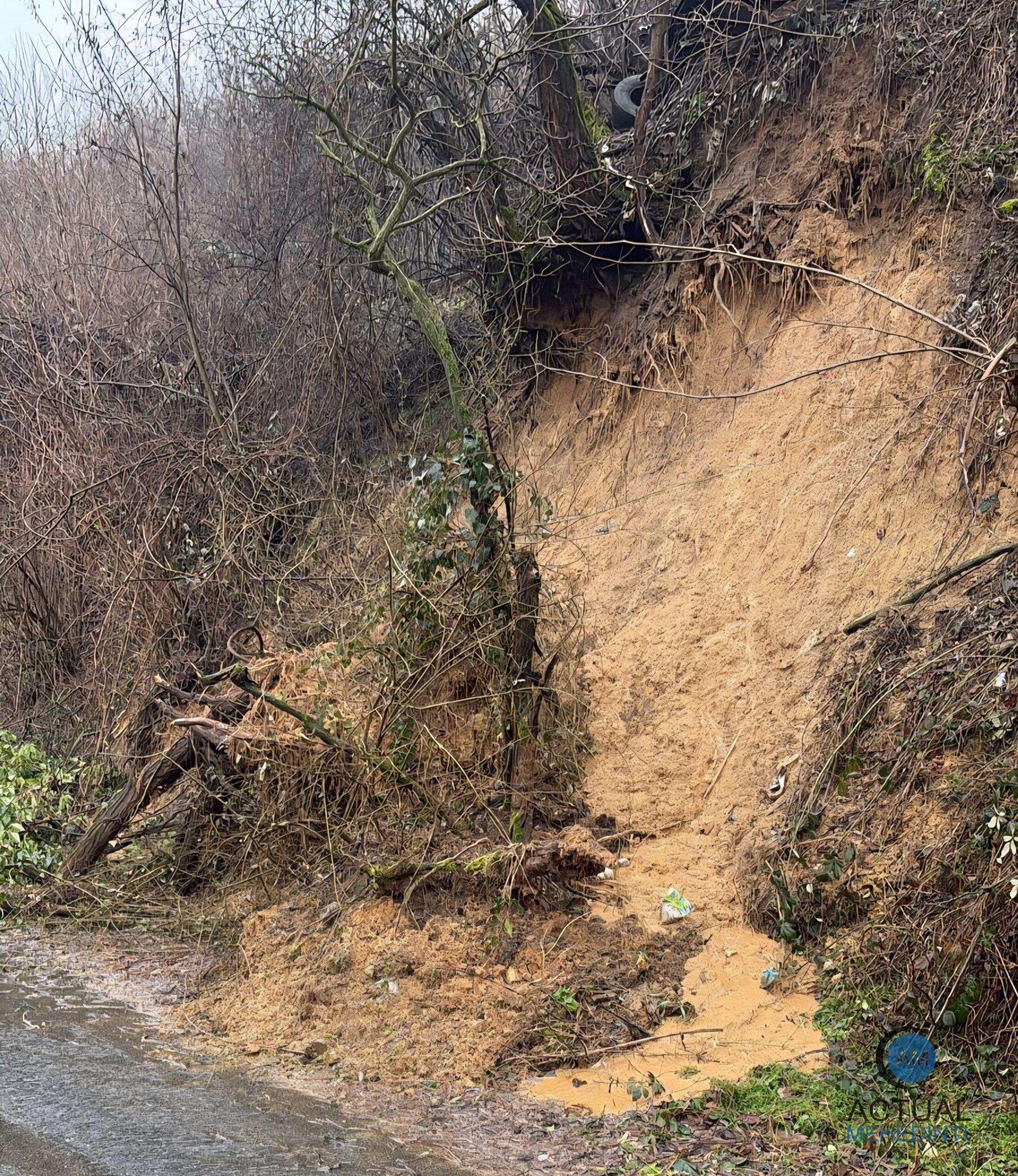 Alunecări de teren în Orșova, autoritățile convocă comitetul de urgență