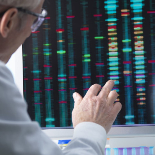 Ministerul Educației din Rusia recomandă prudență în călătoriile internaționale