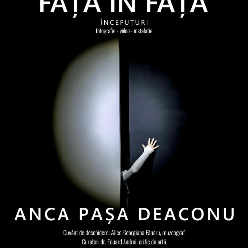 Expoziție omagială dedicată lui Constantin Brâncuși la Muzeul de Artă din Tulcea