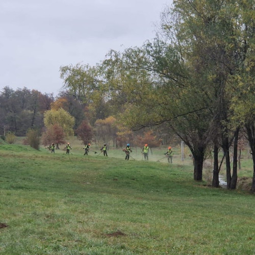 Primăria Sibiu lansează un contract de întreținere a parcurilor de 9,9 milioane lei