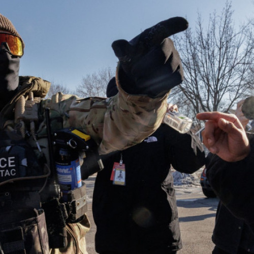 Avocată ICE întoarsă din post după critici la adresa guvernului