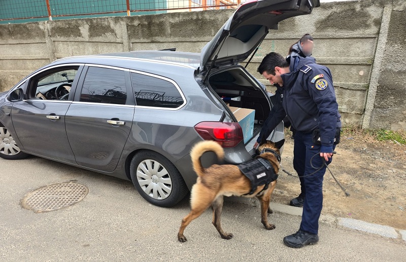 Polițiștii din Brăila luptă împotriva violenței școlare