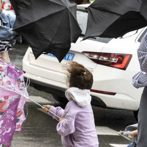 Avertizări meteo: Cod Galben pentru intensificări ale vântului în Timiș