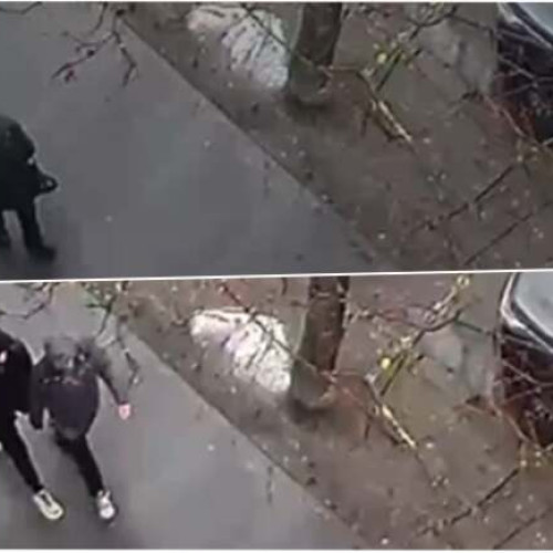 Suspecții unui furt din Timișoara, reținuți de poliție