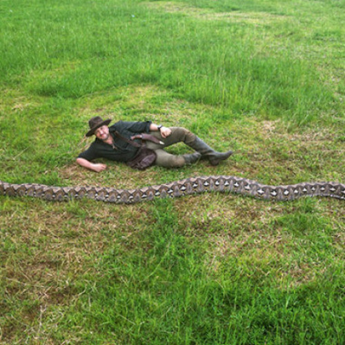 Românul Radu Frențiu descoperă cel mai lung șarpe sălbatic din lume