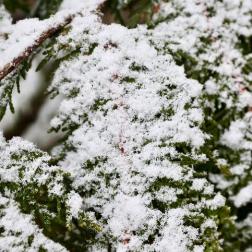 Bucuriile Zăpezii, eveniment de tradiție la Izvoru Mureșului, începe în acest weekend