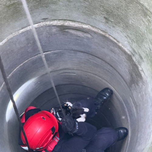 Pompierii din Giurgiu salvează o pisică căzută într-o fântână