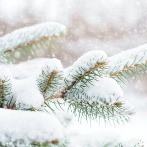 Avertizări meteo: Vânt puternic și ninsori în Giurgiu