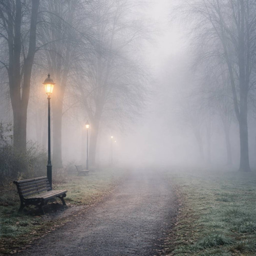 Avertizare meteorologică pentru județul Dâmbovița: Cod Galben de ceață