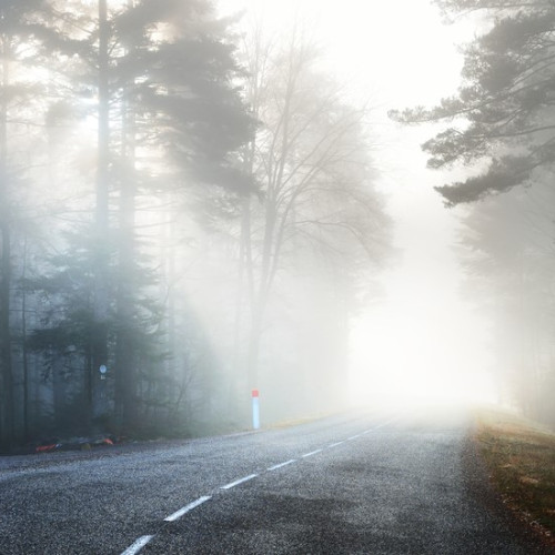 Cod galben de ceață emis pentru Dâmbovița