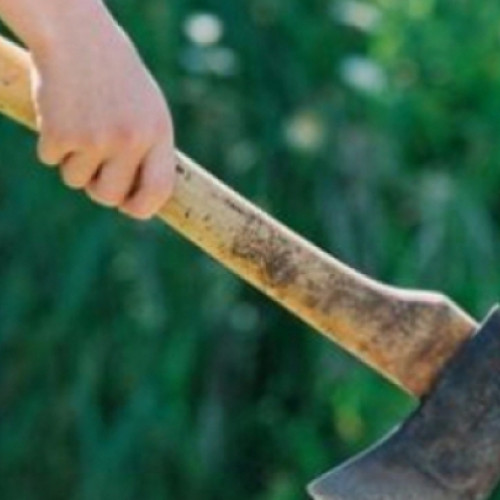 Român înarmat cu topor amenință clienți într-un pub din Viena