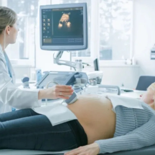 Bugetul programului FIV ar putea crește semnificativ în 2026