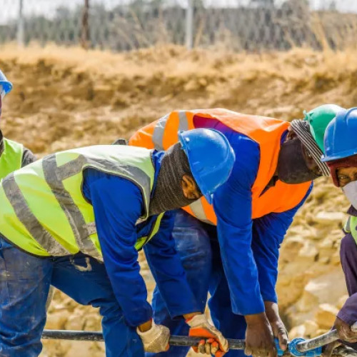 România riscă să piardă forța de muncă străină din cauza legislației restrictive