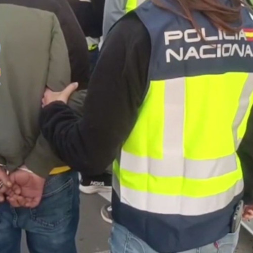 Autoritățile spaniole au distrus o rețea de trafic de români sezonieri