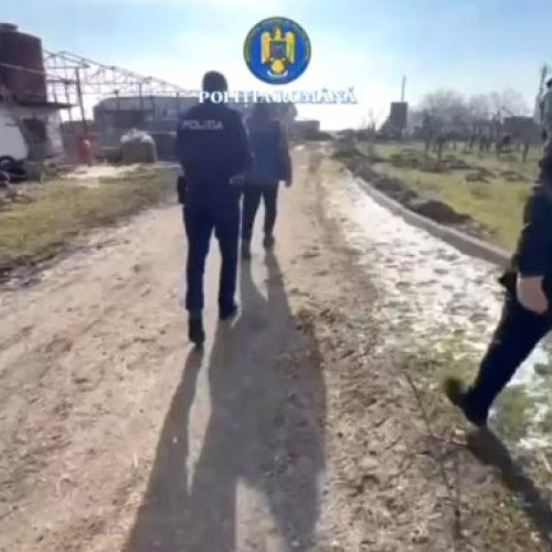 Amenzi de peste 19.000 de lei la Baba Ana, pentru neîngrijirea ­corespunzătoare a peste o sută de câini!