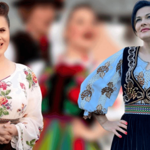 Niculina Stoican câștigă procesul de plagiat după cinci ani de bătălie juridică