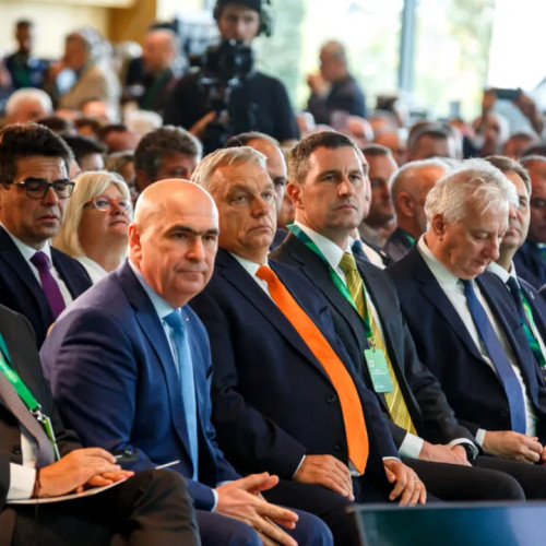 Critici dure din partea primarului din Titu la adresa guvernului