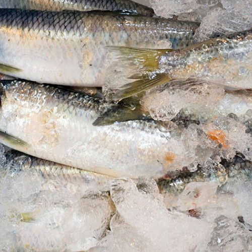 Bătrâne înșelate de o vânzătoare din Comănești, prinsă de polițiști