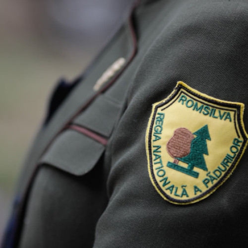 Diana Buzoianu anunță reforme majore în Romsilva în săptămânile următoare