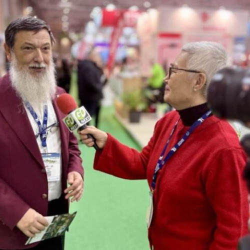 Recesiune în turismul românesc: măsuri urgente necesare pentru revitalizare