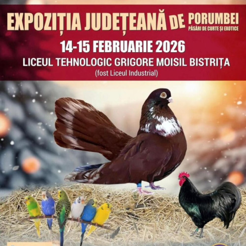 Exhibiție de porumbei și păsări la Liceul Industrial nr. 1 Bistrița