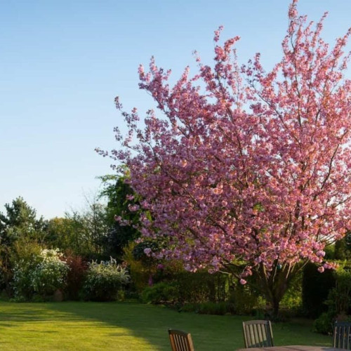 Alege sistemul de irigare ideal pentru grădina ta