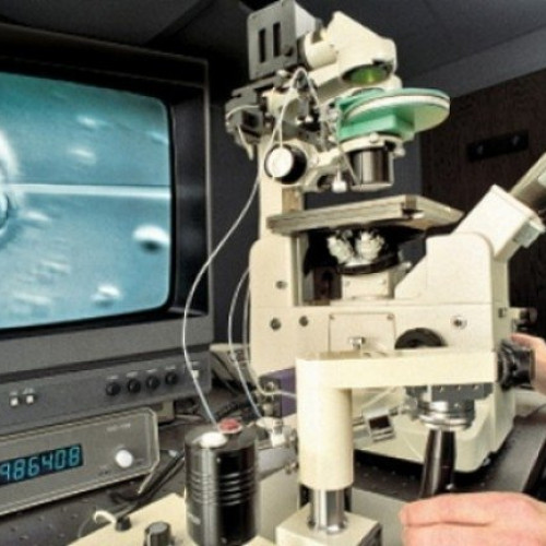 România se confruntă cu o criză demografică alarmantă, nașterile scad drastic