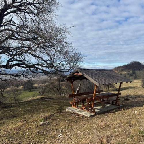 Primăria Cetate solicită respectarea curățeniei în spațiile comune