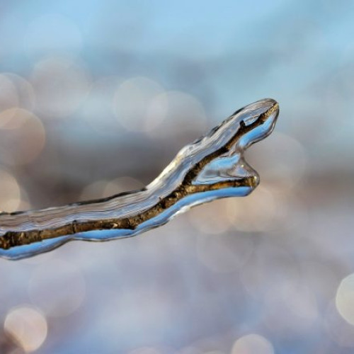 Vremea se răcește drastic în București, cu ninsori și viscol