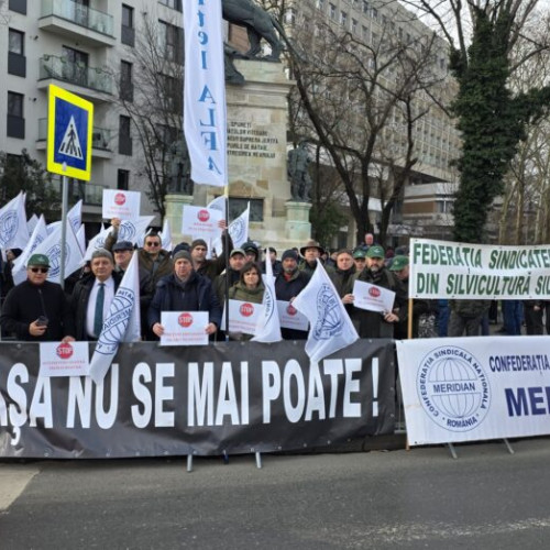 Federaţia Sindicatelor Silva contestă reorganizarea Romsilva și concedierile programate