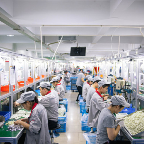 Autoritățile italiene descoperă o rețea de muncă ilegală cu minori din Moldova