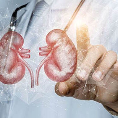 Studiu australian: Nanoplasticele pot afecta sănătatea rinichilor