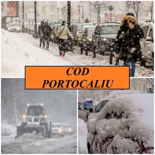 Autoritățile giurgiuvene iau măsuri pentru ninsoarea abundentă