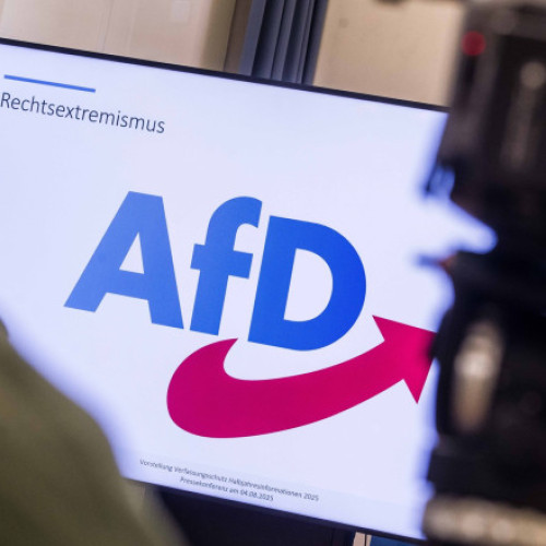 Scandalul de nepotism zguduie partidul AfD înaintea alegerilor