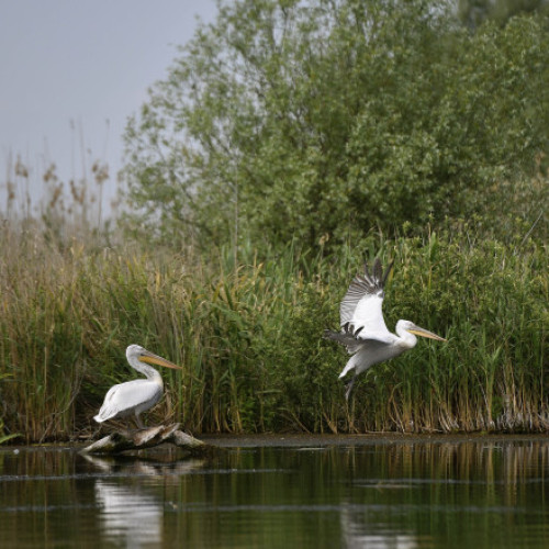 Masterplanul investițiilor în turism, actualizat pentru o experiență turistică îmbunătățită