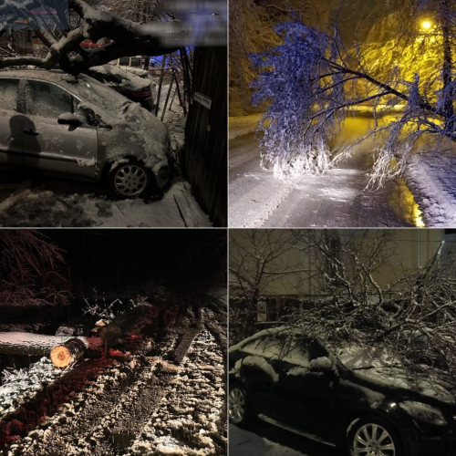 Pompierii argeșeni intervin pentru a gestiona efectele vremii nefavorabile