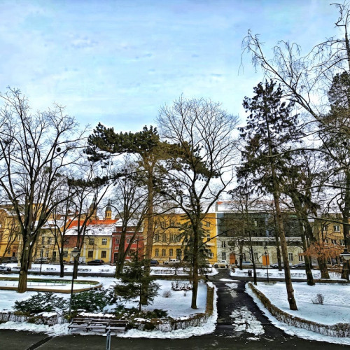 Scădere semnificativă a cazurilor de gripă în județul Sibiu