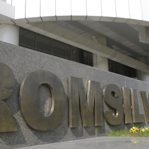 Cei opt candidați pentru funcția de director al Romsilva