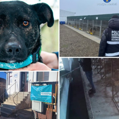 Scandalul din județul Vrancea agită spiritele și în Covasna