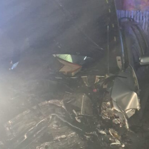 Reacții după anunțul dintr-o conferință de presă recentă