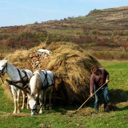 Senatul aprobă promovarea agroturismului prin programul „Viaţa la ţară”