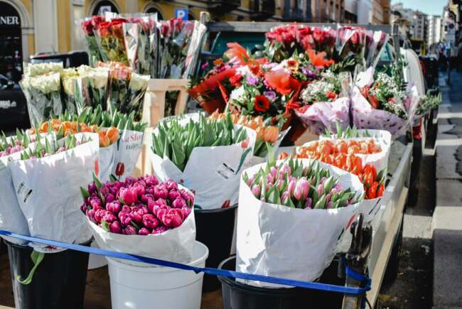 Primăria Timișoara anunță autorizarea pentru vânzarea de flori de 8 Martie