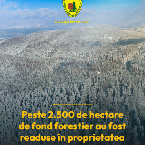 Romsilva și Ministerul Finanțelor readuc 2.571 de hectare de pădure în proprietatea statului