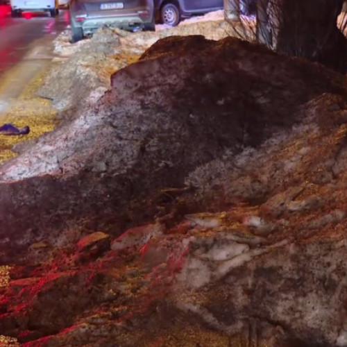 Diana Buzoianu, despre zăpada neagră din București și poluarea ambientală