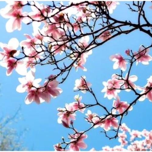 Vremea se încălzește semnificativ în România începând de joi