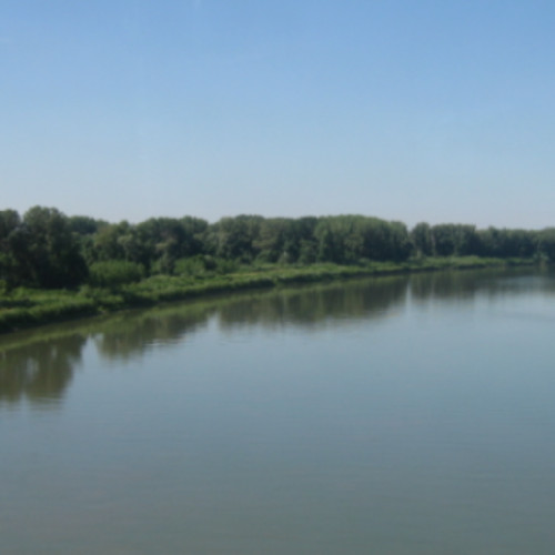 Coperțel descoperit pe malul râului Tisa, în Maramureș