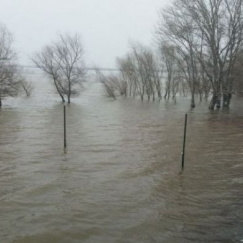 Cod portocaliu de creșteri ale debitelor, pregătiri pentru intervenție în Giurgiu