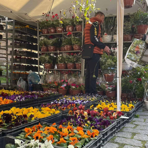 Târgul Grădinarului revine în Cetatea Alba Carolina în martie 2026